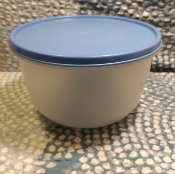 Tupperware Other - Tupperware Bowl mold number 1701-9 with blue lid